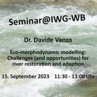 Eco-morphodynamic modelling: Challenges (and opportunities) for river restoration and adaptation