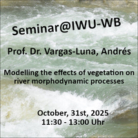 Modelling the effects of vegetation on river morphodynamic processes