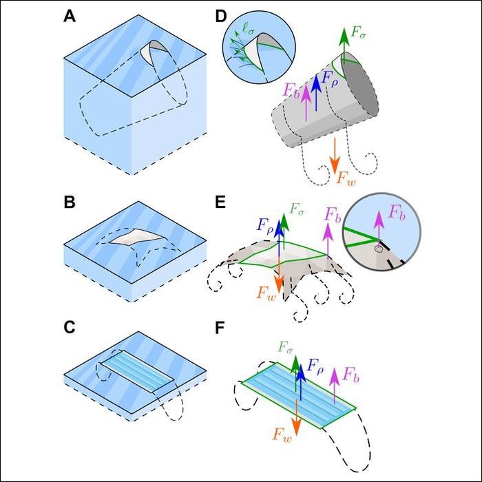 Mechanics of Plastic Transport